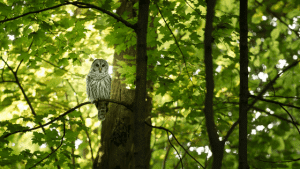 how to maintain sustainability in business